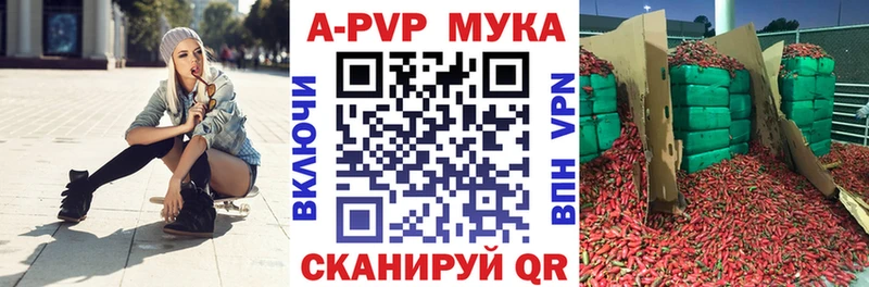 магазин Шацк Альфа ПВП СК