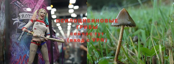 экстази Магас