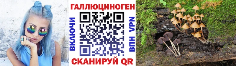hydra как зайти  Шацк  Галлюциногенные грибы прущие грибы  купить  